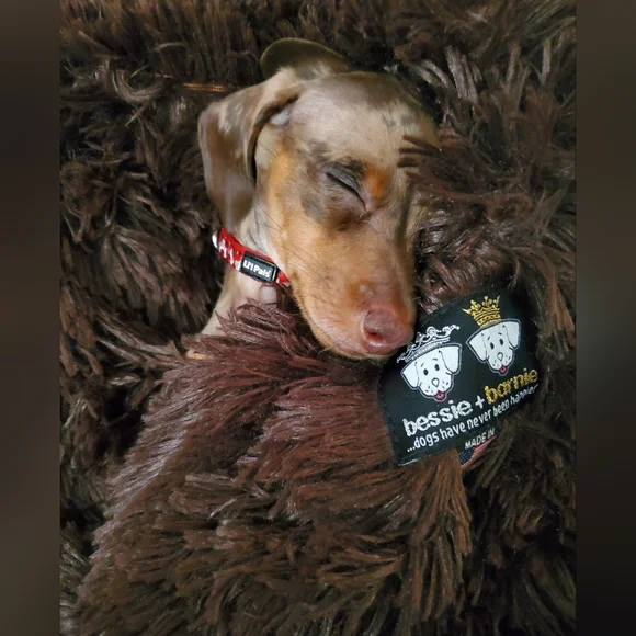 Random Pics - Picture 4 of 6